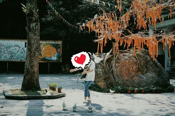 看龙展迎龙年 快来这个博物馆开启“寻龙”之旅
