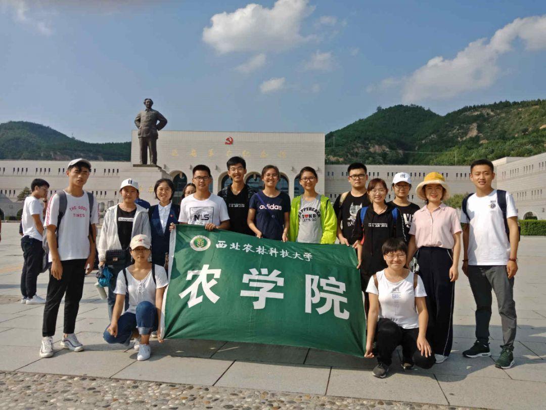 刀锋铁骑